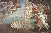 Sandro Botticelli The birth of Venus oil painting reproduction